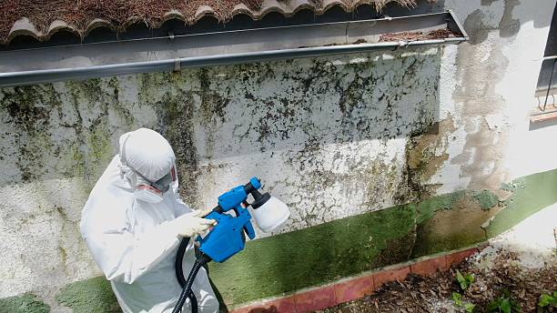 Trusted Bathroom Mold Removal service in Anoka, MN - Cheap Mold Removal